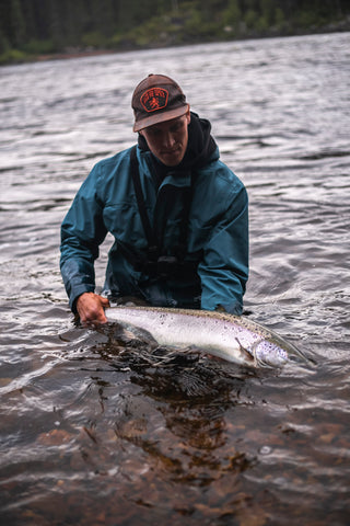 big baltic salmon