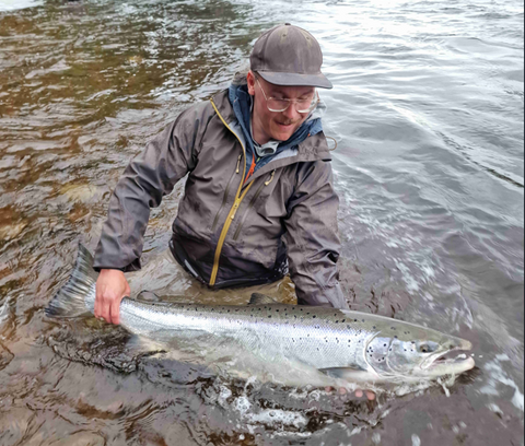 baltic salmon