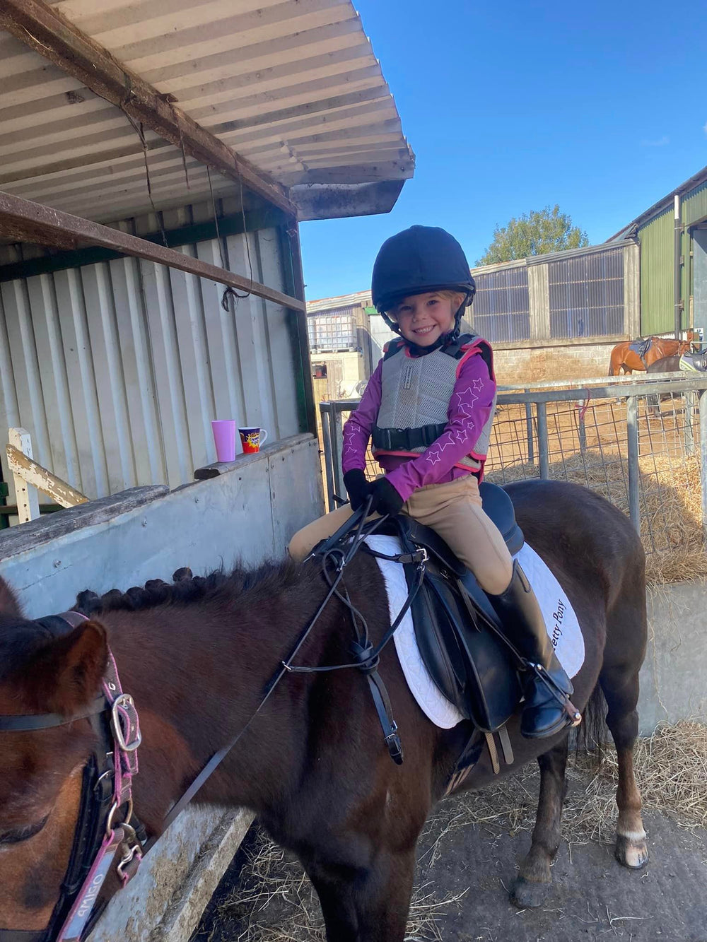 Balanced Support Reins - Loop Handle Reins 