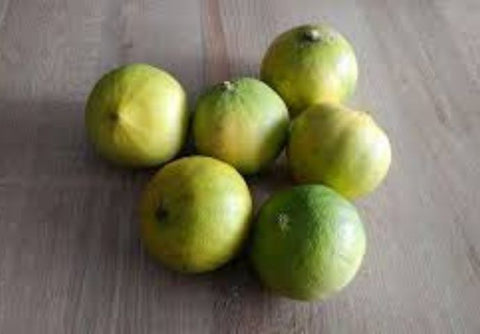 Bergamote