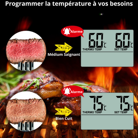 Thermomètre-de-cuisson-maitrise-parfaite-de-la-cuisson