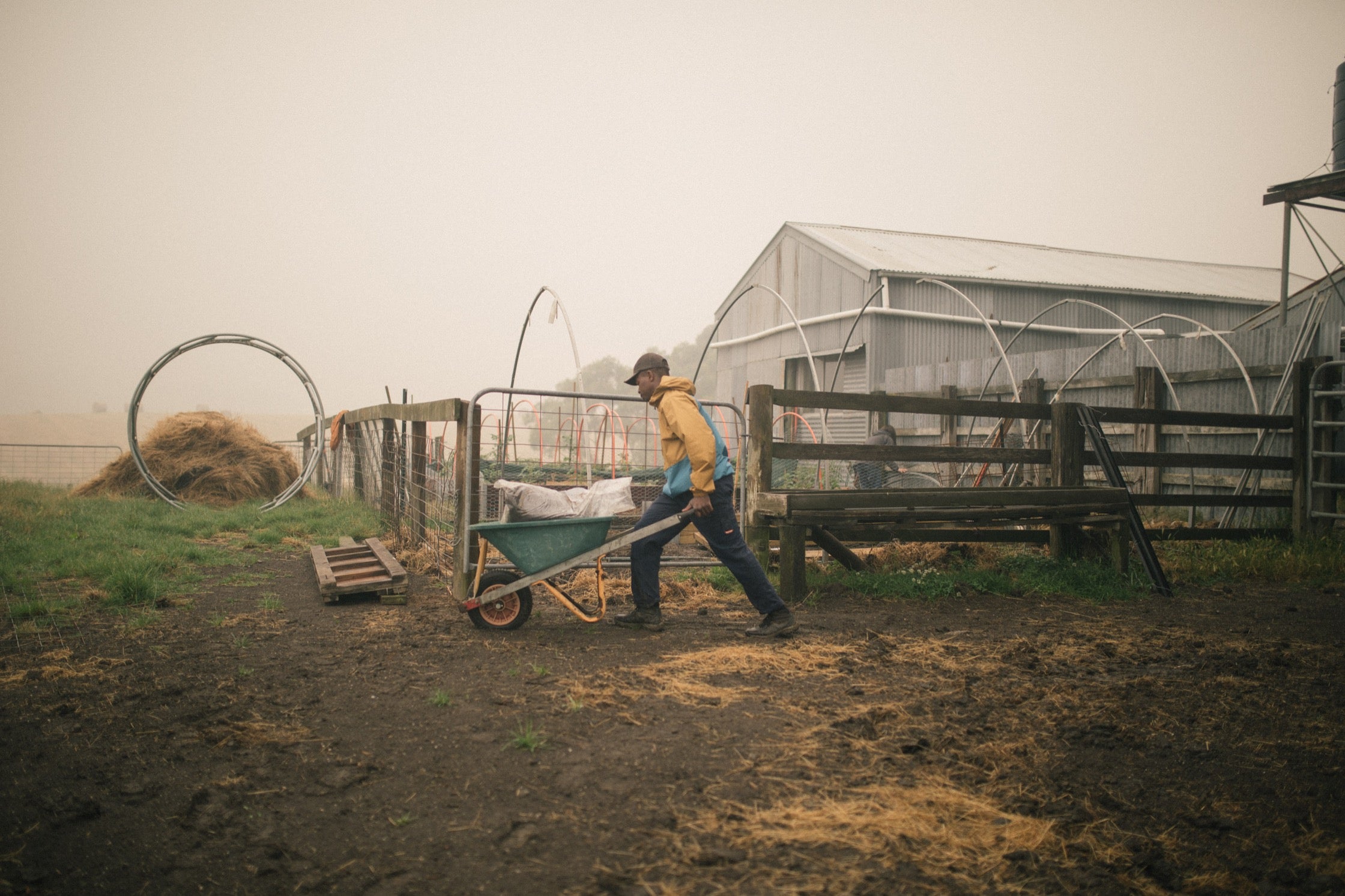 Nez pushes heavy items in a wheelbarrow.