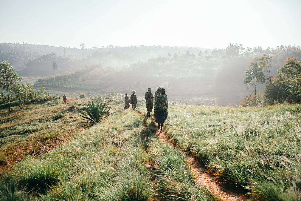 People walking a trail in a field.