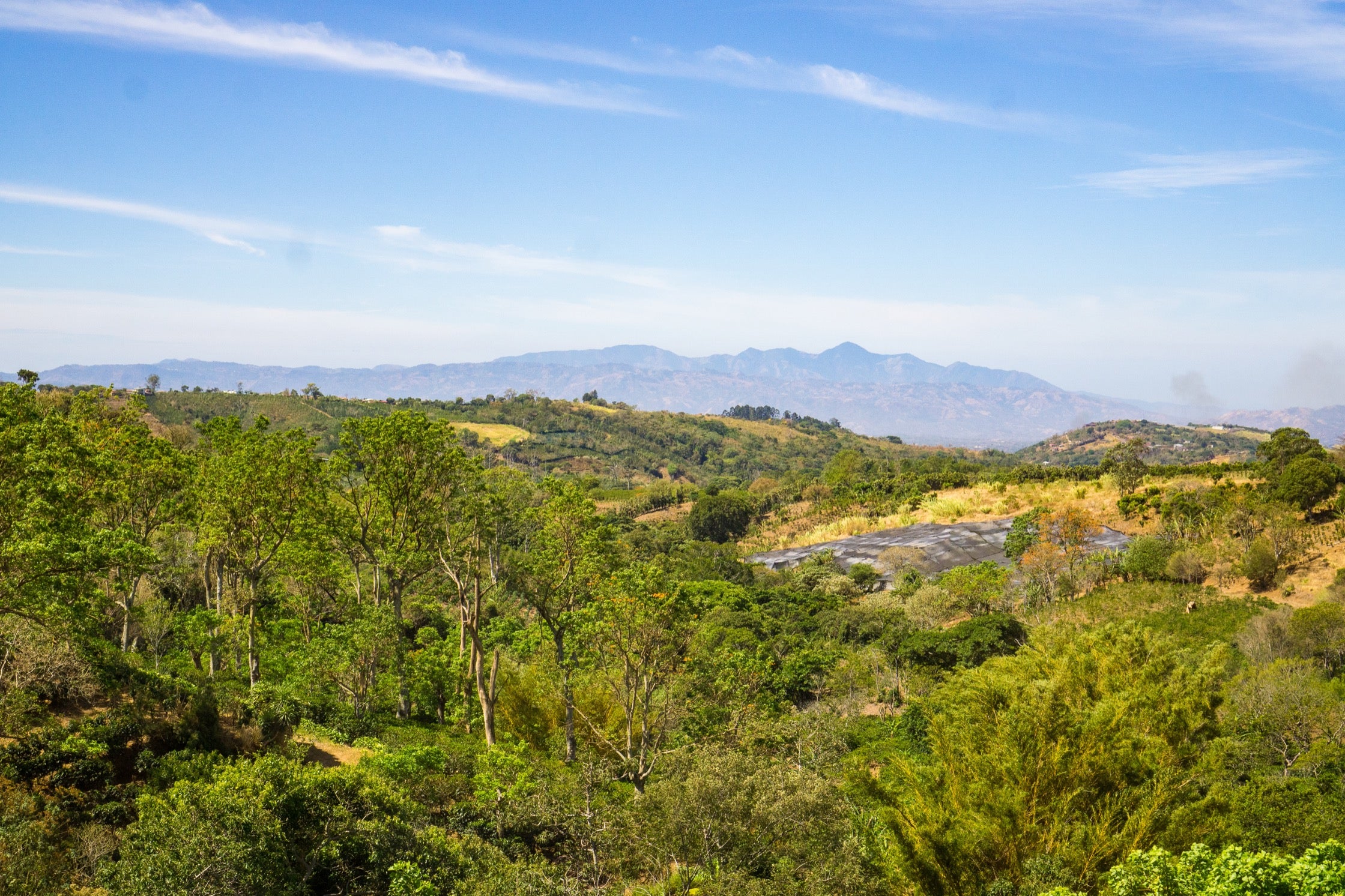 A photo of the landscape at Las Lajas