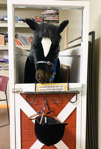 Plush horse from research study at Riding to the Top, 2022