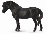 CollectA Dartmoor Pony Stallion in black - Disco'd for 2017