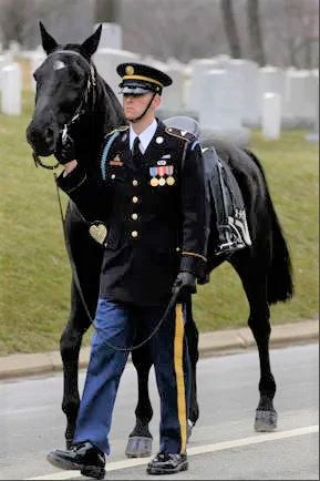 Black Jack the riderless horse for Arlington