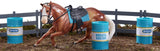 Breyer Barrel Racing Set, Palomino Paint Horse at Triple Mountain