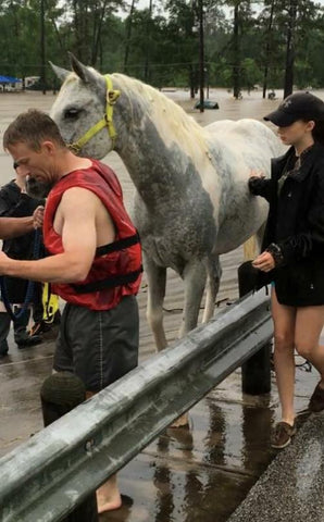 Justin Nelzen horse Rescue