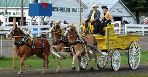 North Counry Draft Horses at Fryeburg Fair