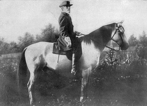 Traveller with General Lee aboard