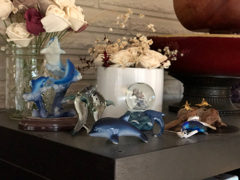 Ilana's dolphins on display 