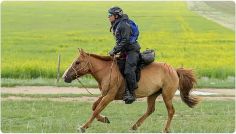 Surviving The Mongol Derby – Triple Mountain Model Horses