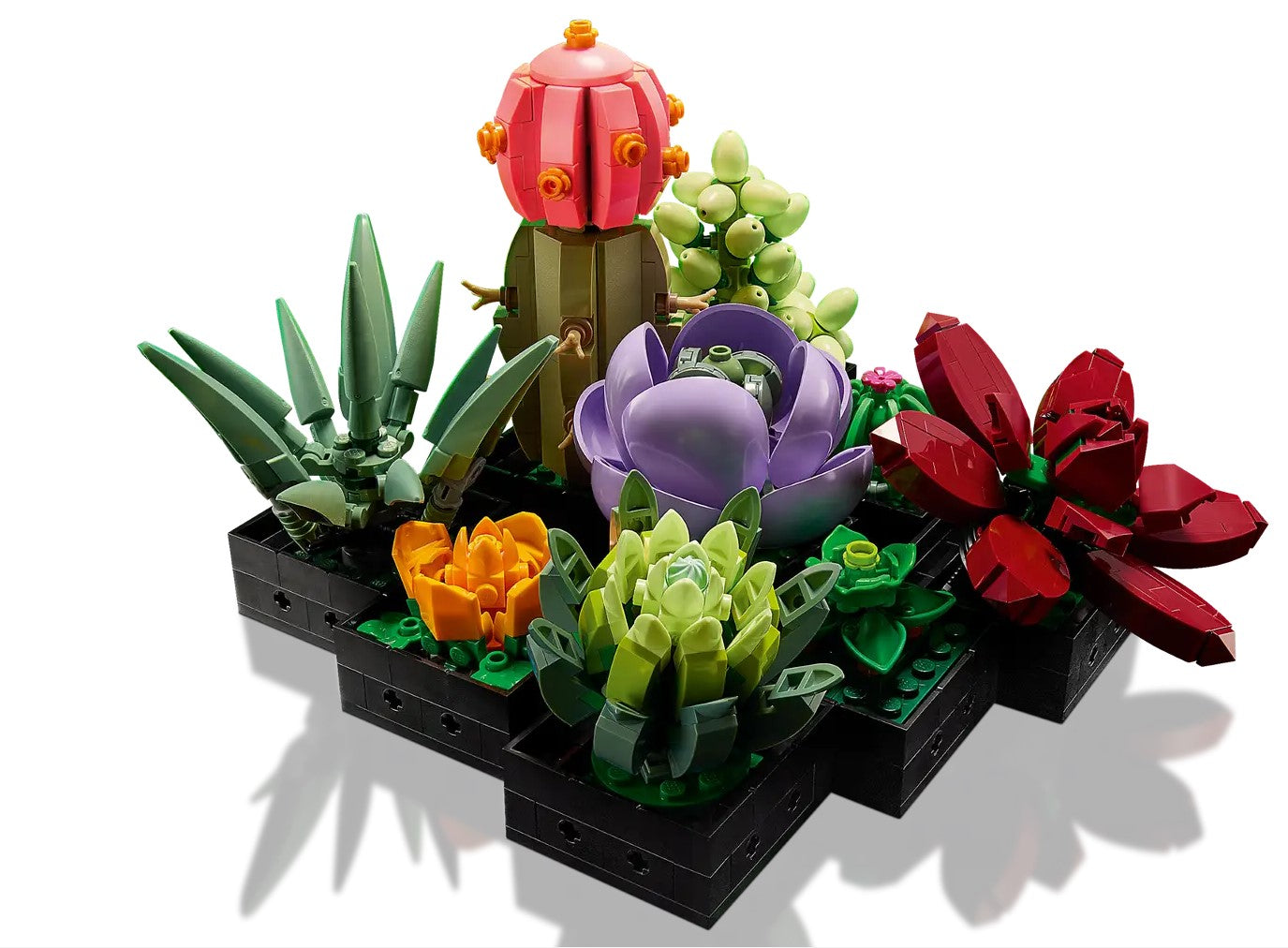 LEGO Botanicals ~ Succulents – Triple Mountain Model Horses