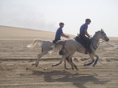 Justin Nelzen endurance riding in Qatar