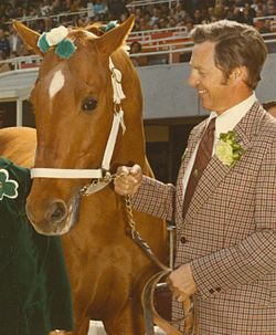 Silky Sullivan celebrating St Patrick's Day