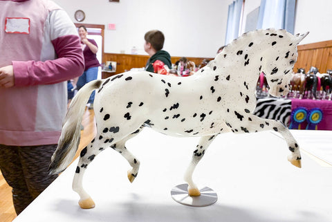 Haley's horse Realto Showing off his steel replacement base from Triple Mountain at a show