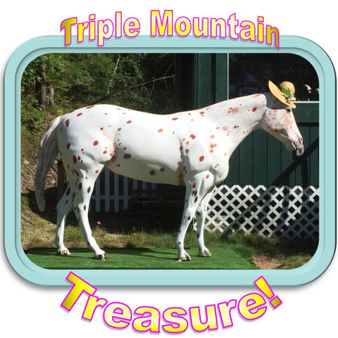 Triple Mountain's life-sized Appaloosa named Treasure by our customers