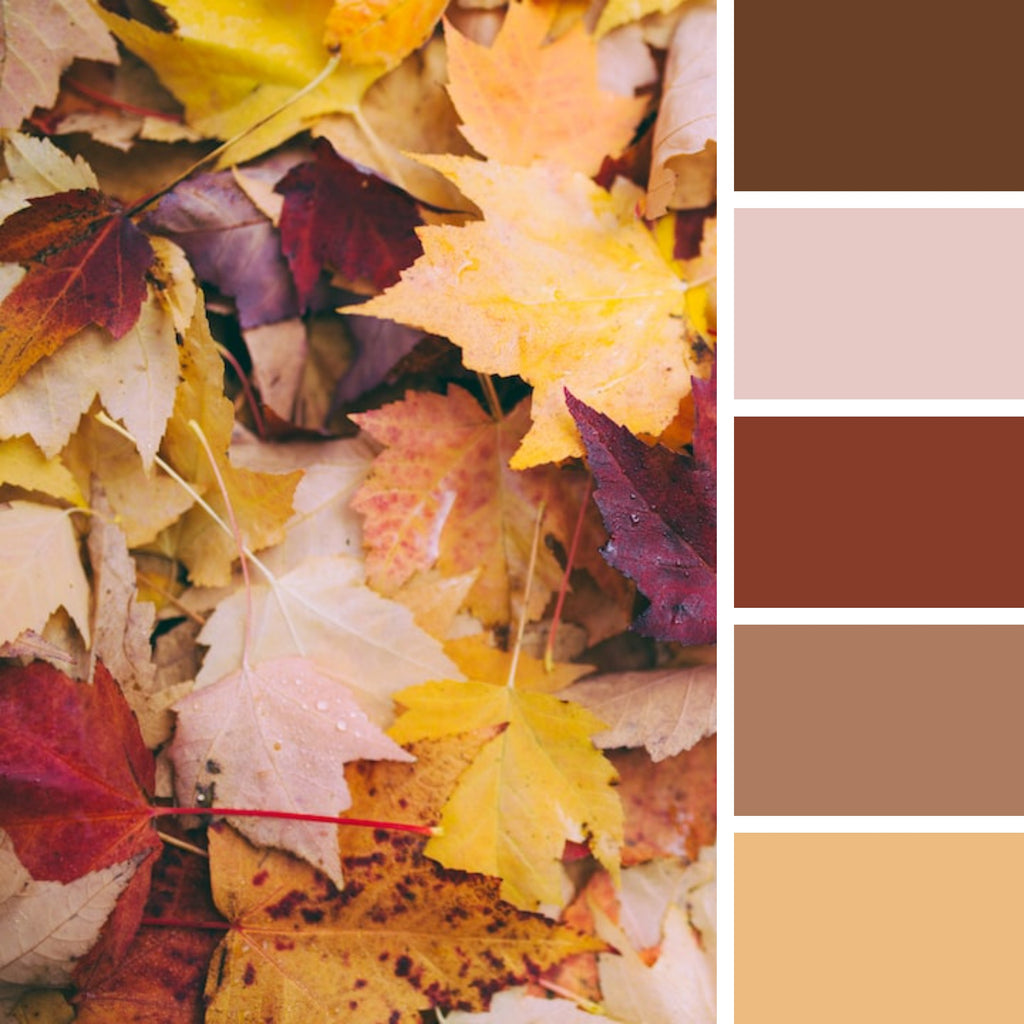 30 Autumn Color Palettes for Coloring Pages: Embrace the Season's ...