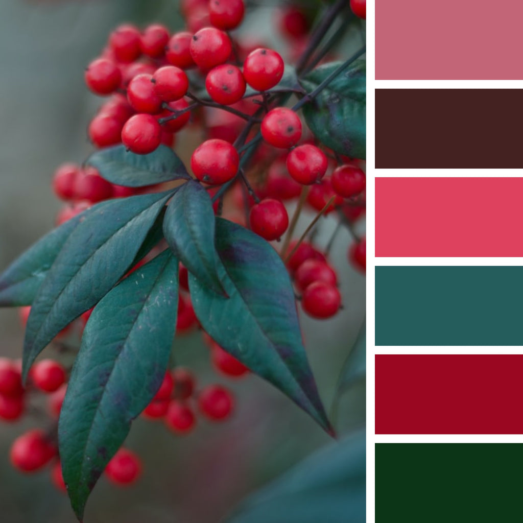 30 Christmas Color Palette Ideas for Stunning Coloring Pages