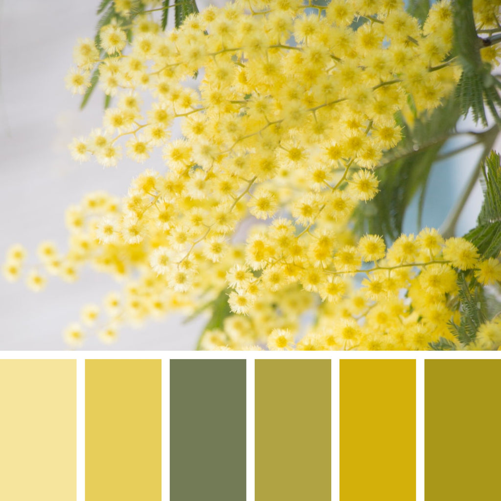 30 Flower Color Palettes for Coloring Pages