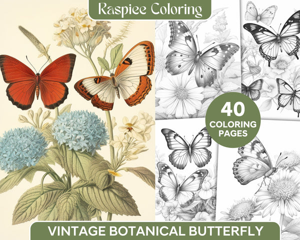 Vintage Botanical Butterfly Coloring Pages