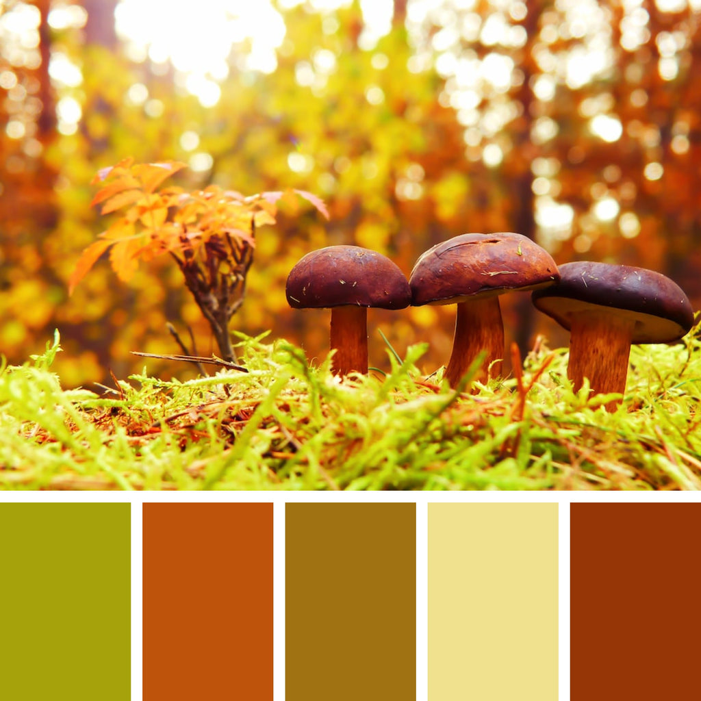 30 Autumn Color Palettes for Coloring Pages: Embrace the Season's ...