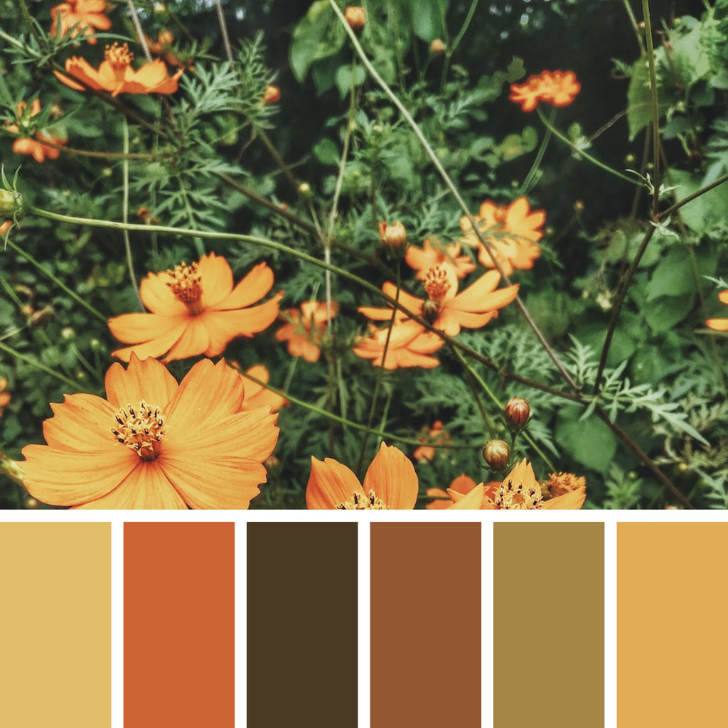 30 Flower Color Palettes for Coloring Pages