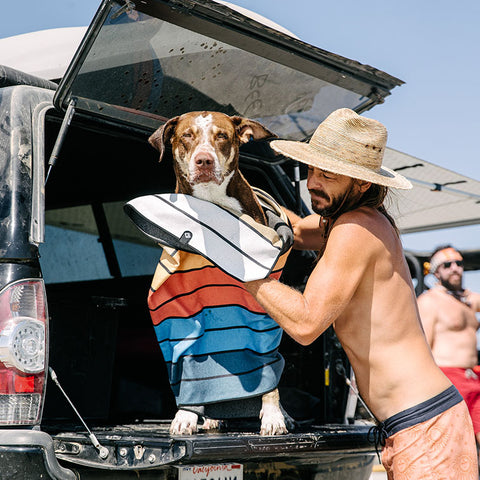 a person and a dog in a boat