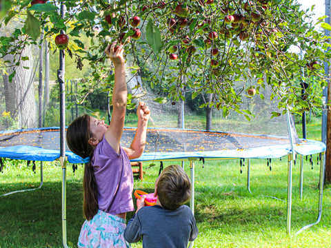 Penelope apple picking