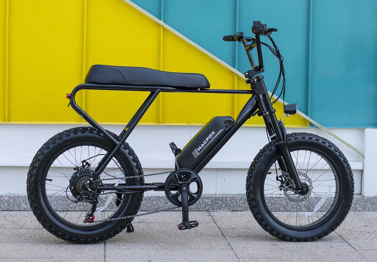 Custom Electric Bicycles