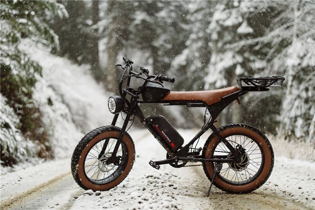 Electric Bike for Retirees | Macfox Electric Bike