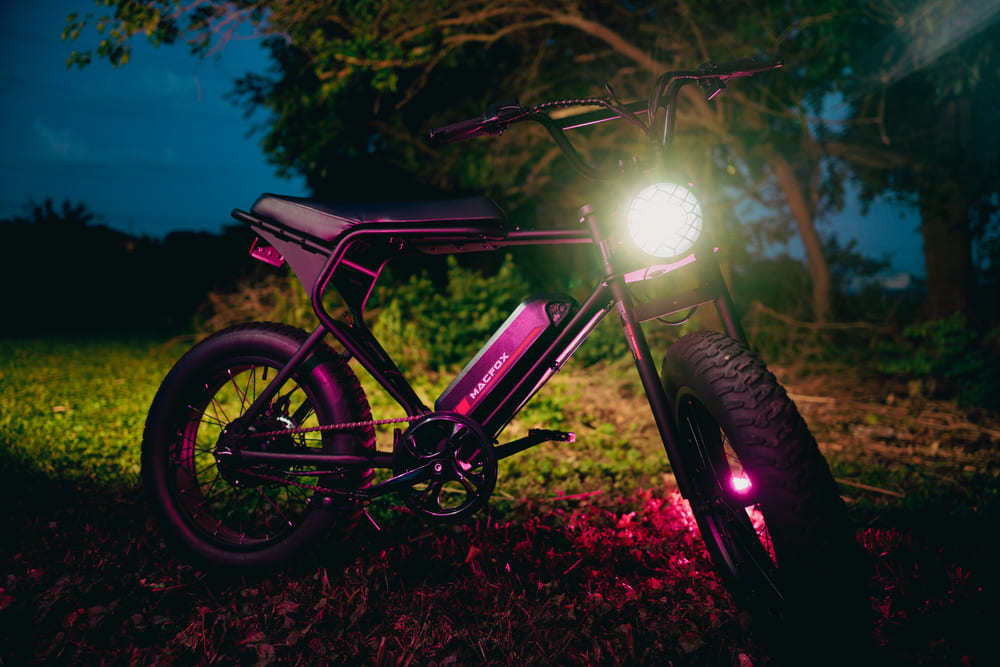 Electric Hunting Bike For Sale