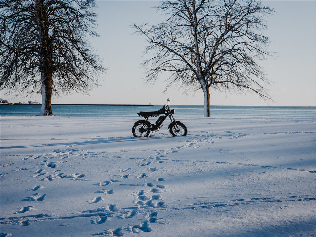 Electric Mountain Bike On Trail | Macfox Electric Bike