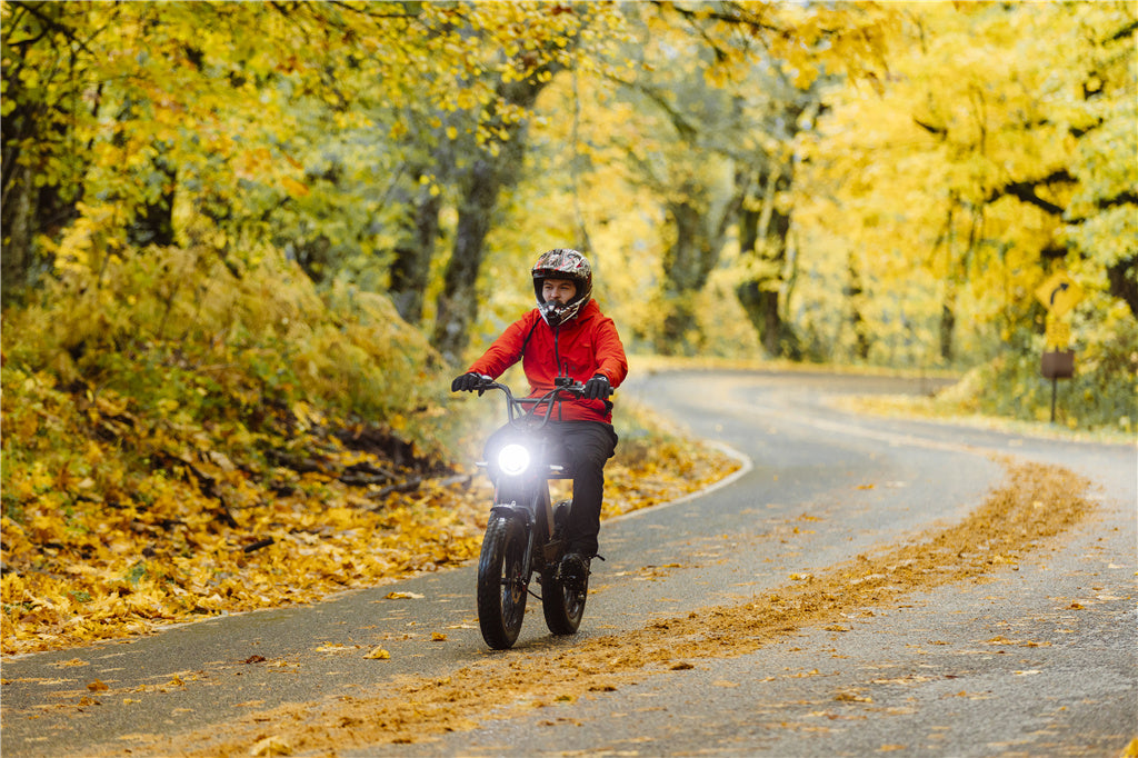 Fat Tire Electric Bikes | Macfox Electric Bike