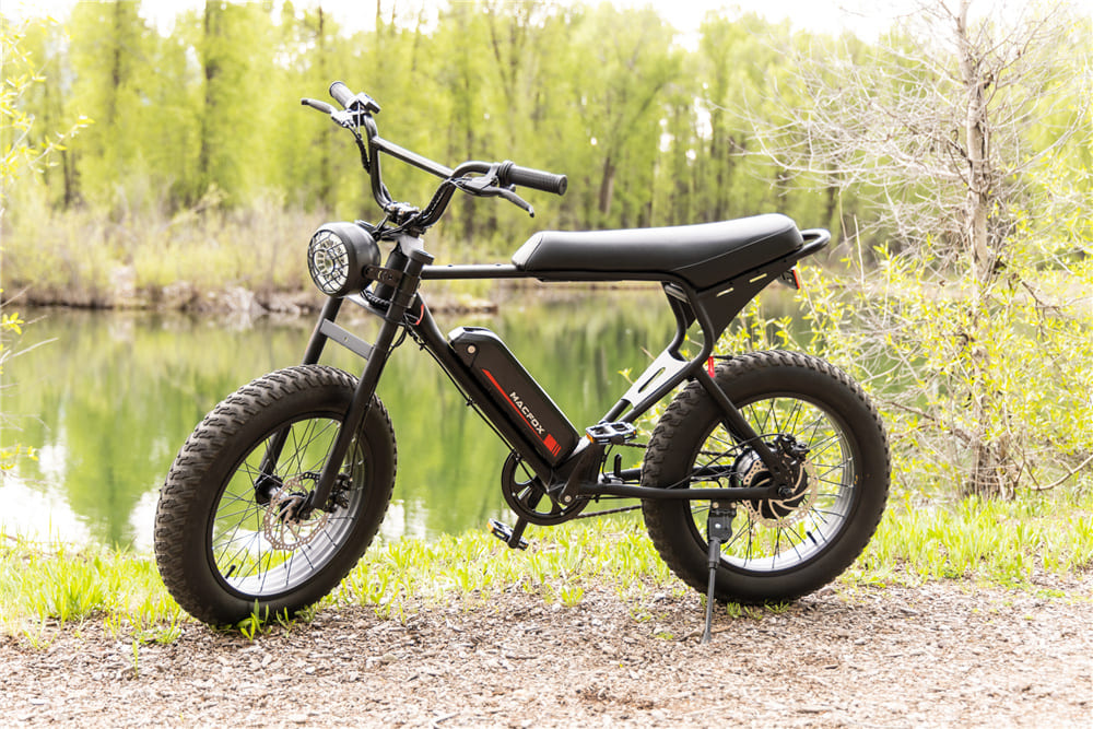 How Much Does Electric Bike Cost | Macfox