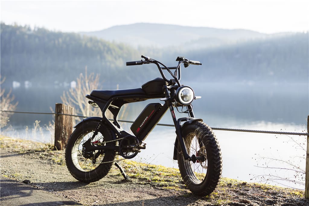 The Best Ebikes For Every Situation | Macfox
