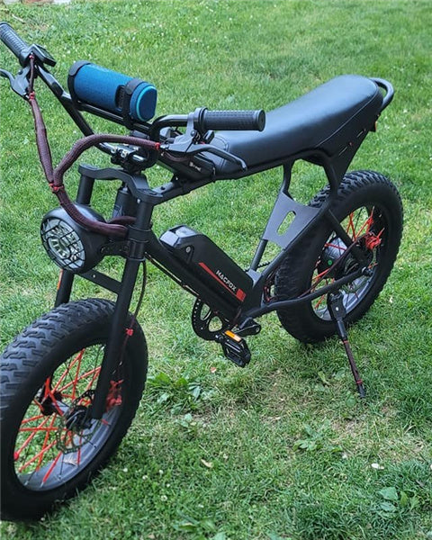 The One Ebike