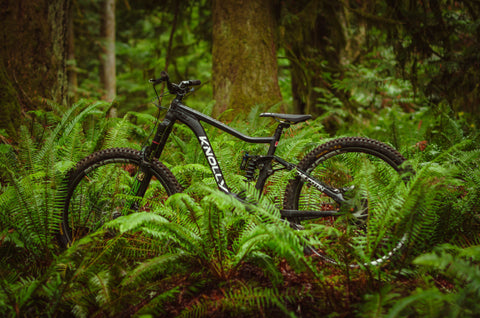 Knolly Bikes Chilcotin