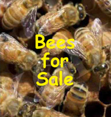 Bees for Sale