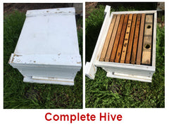 Bill's Bees Complete Hive (Deep Box)