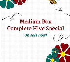 Bills Bees Medium Box Complete Hive Special