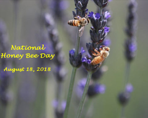 Bill's Bees 2018 National Honey Bee Day