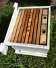 Bill's Bees Complete Hive