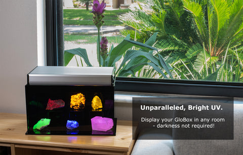 GloBox Fluorescent Mineral Display Case With 365nm UV Light