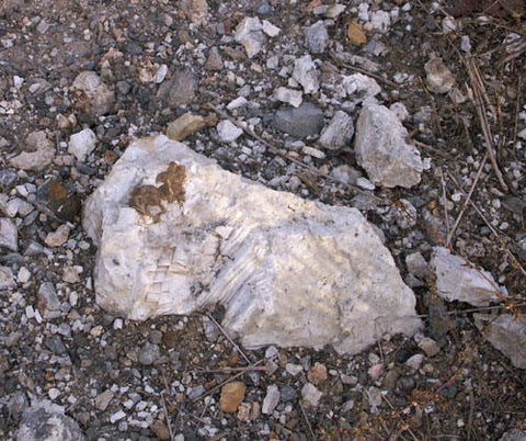 a calcite boulder