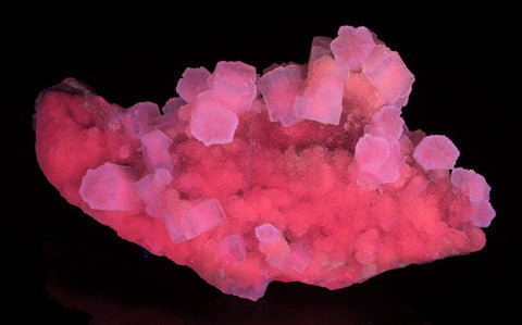 aragonite mineral specimen under longwave uv light