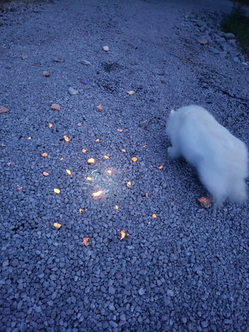 UV rocks glowing under UV light