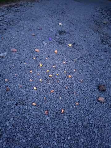 UV rocks glowing under UV light