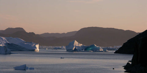 icebergs in greenland